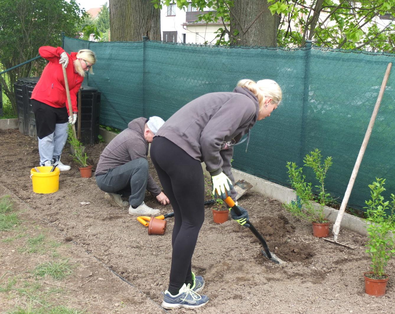 Sázení keříků s rodiči - 17