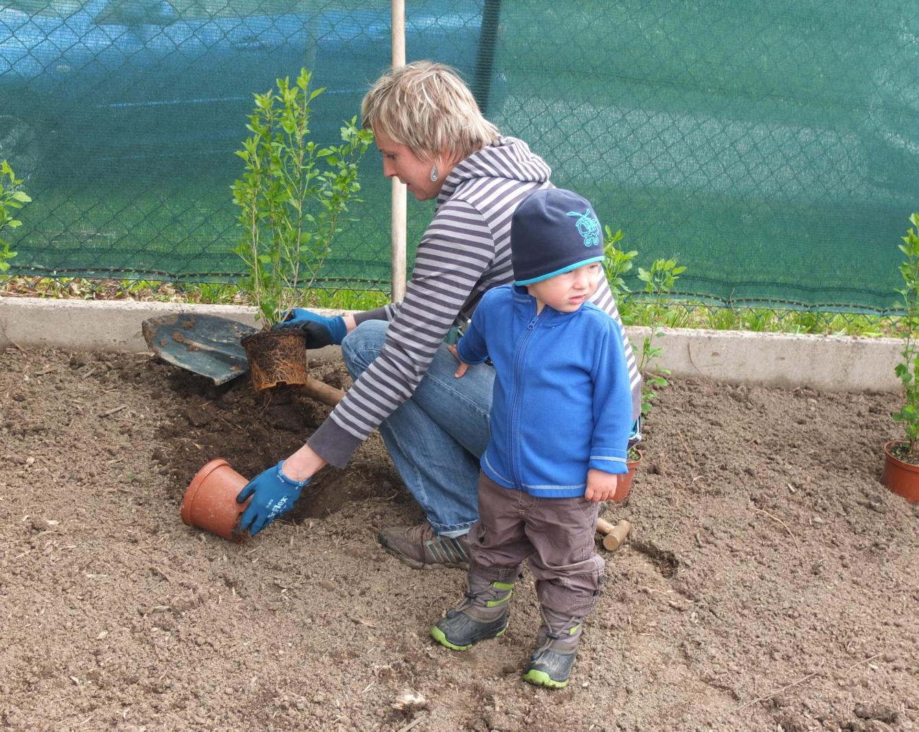 Sázení keříků s rodiči - 18