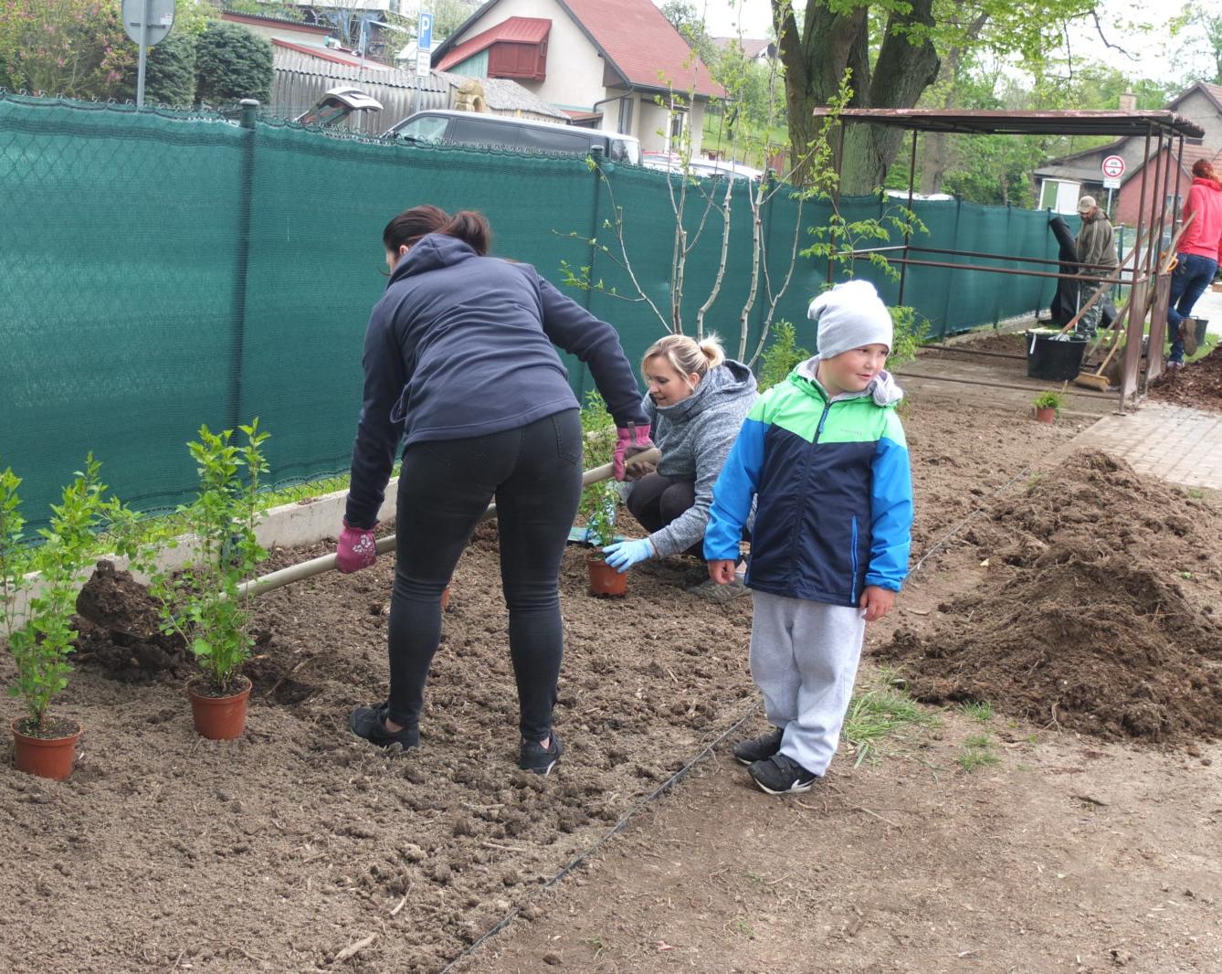 Sázení keříků s rodiči - 19