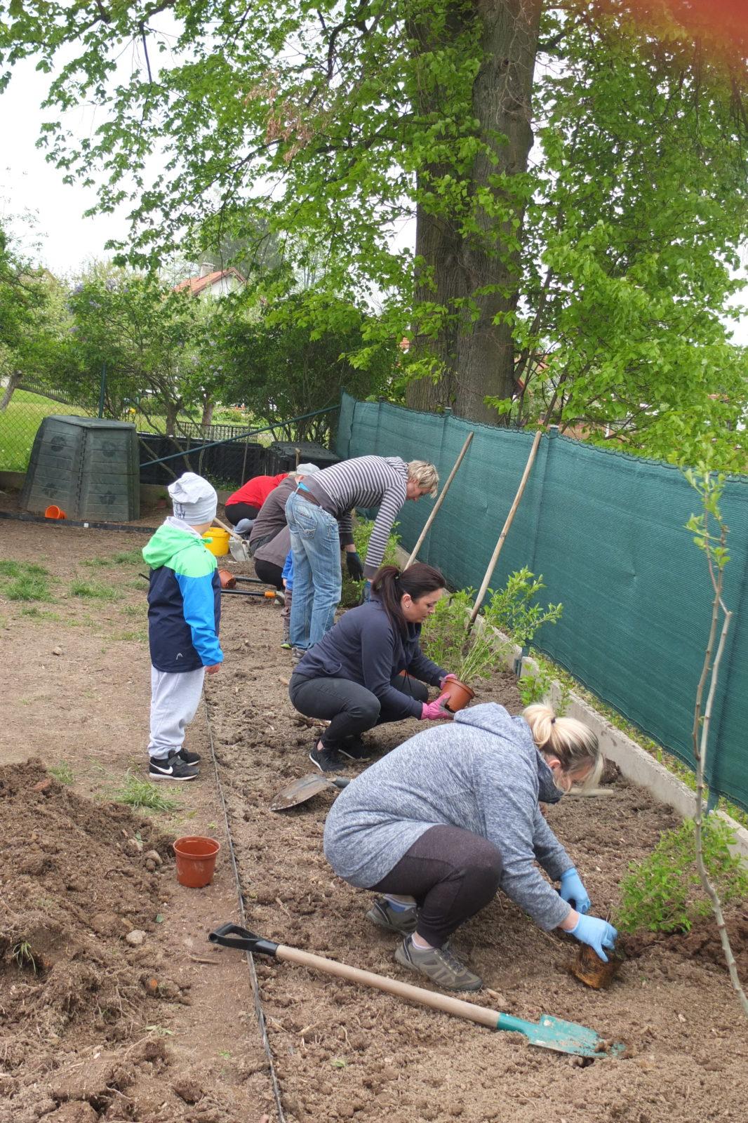 Sázení keříků s rodiči - 22