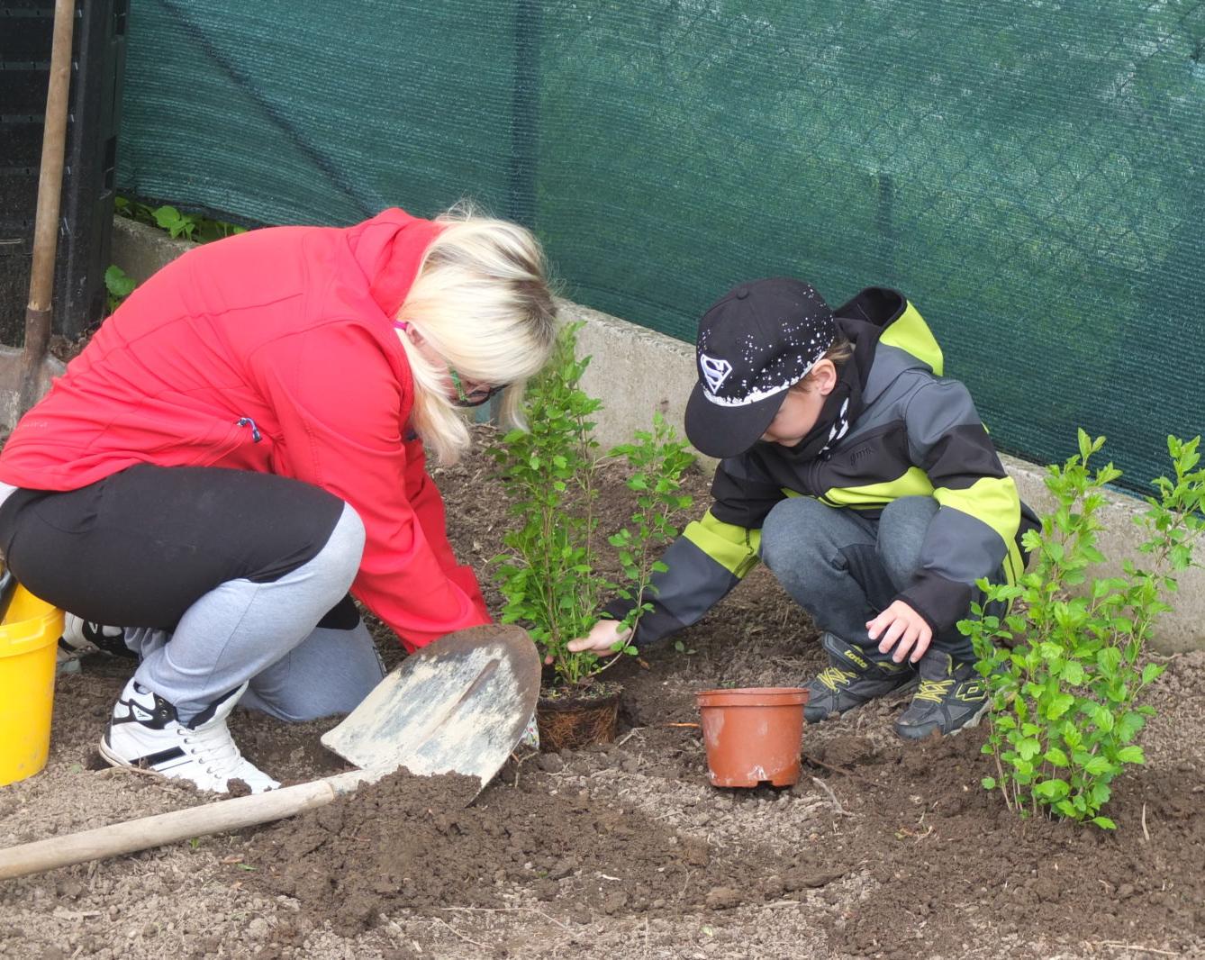 Sázení keříků s rodiči - 26