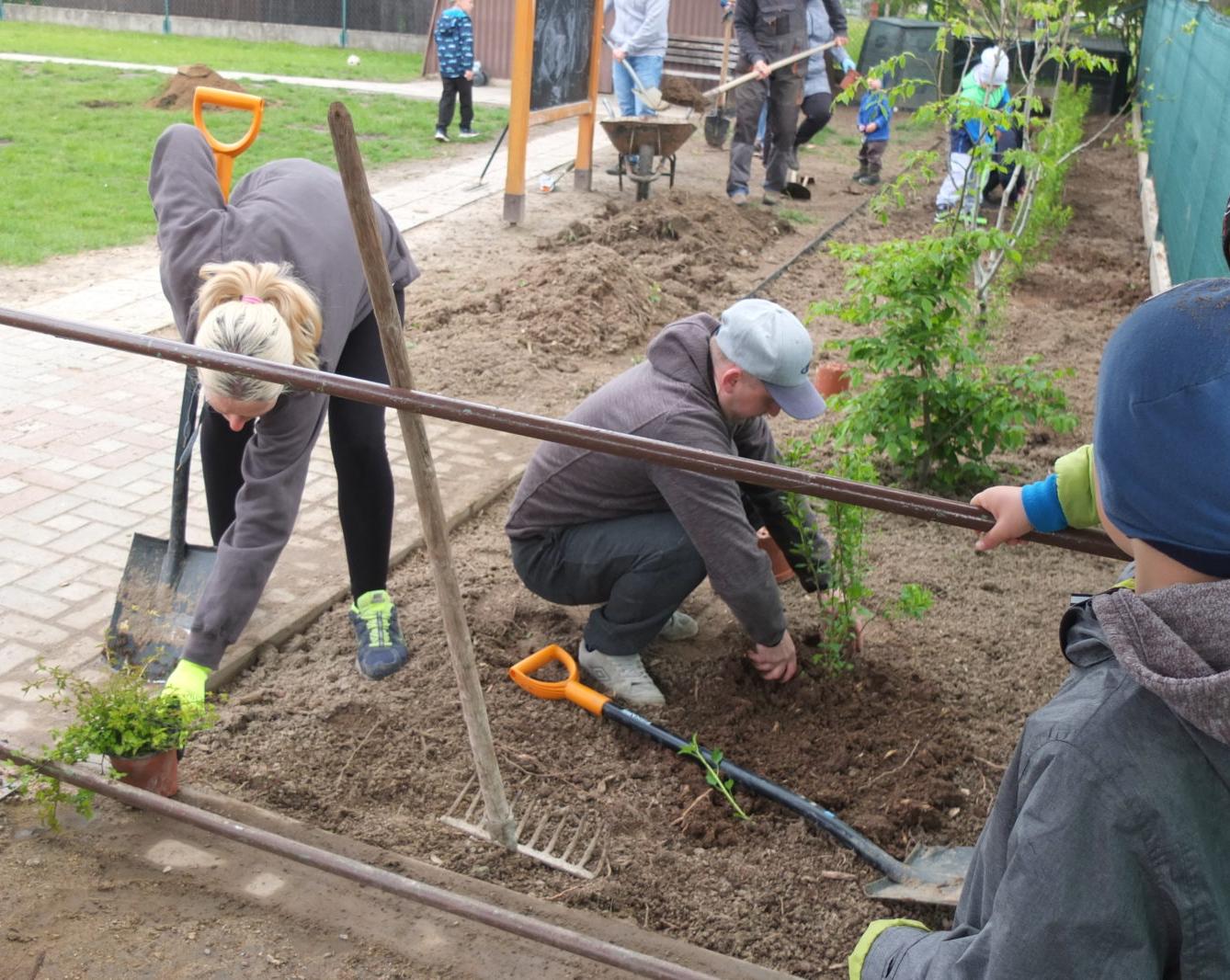 Sázení keříků s rodiči - 33