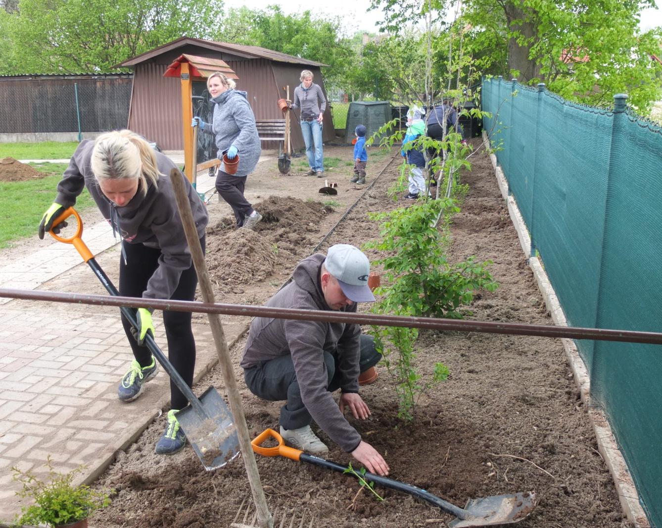 Sázení keříků s rodiči - 34