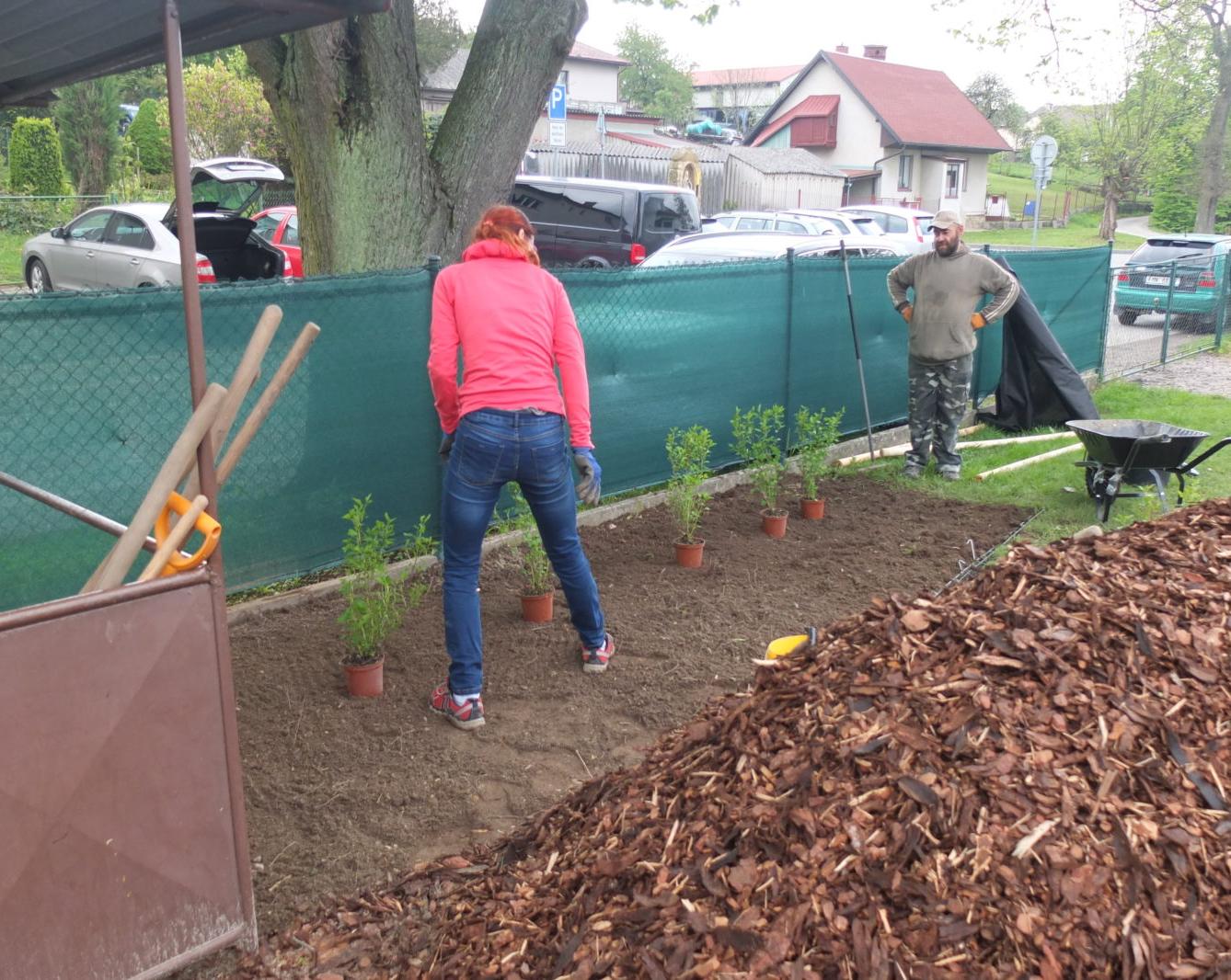 Sázení keříků s rodiči - 36