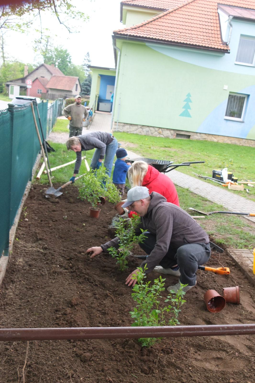 Sázení keříků s rodiči - 42