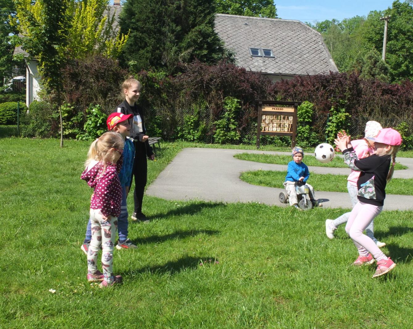 Tvorba hmyzích domečků s deváťáky - 24