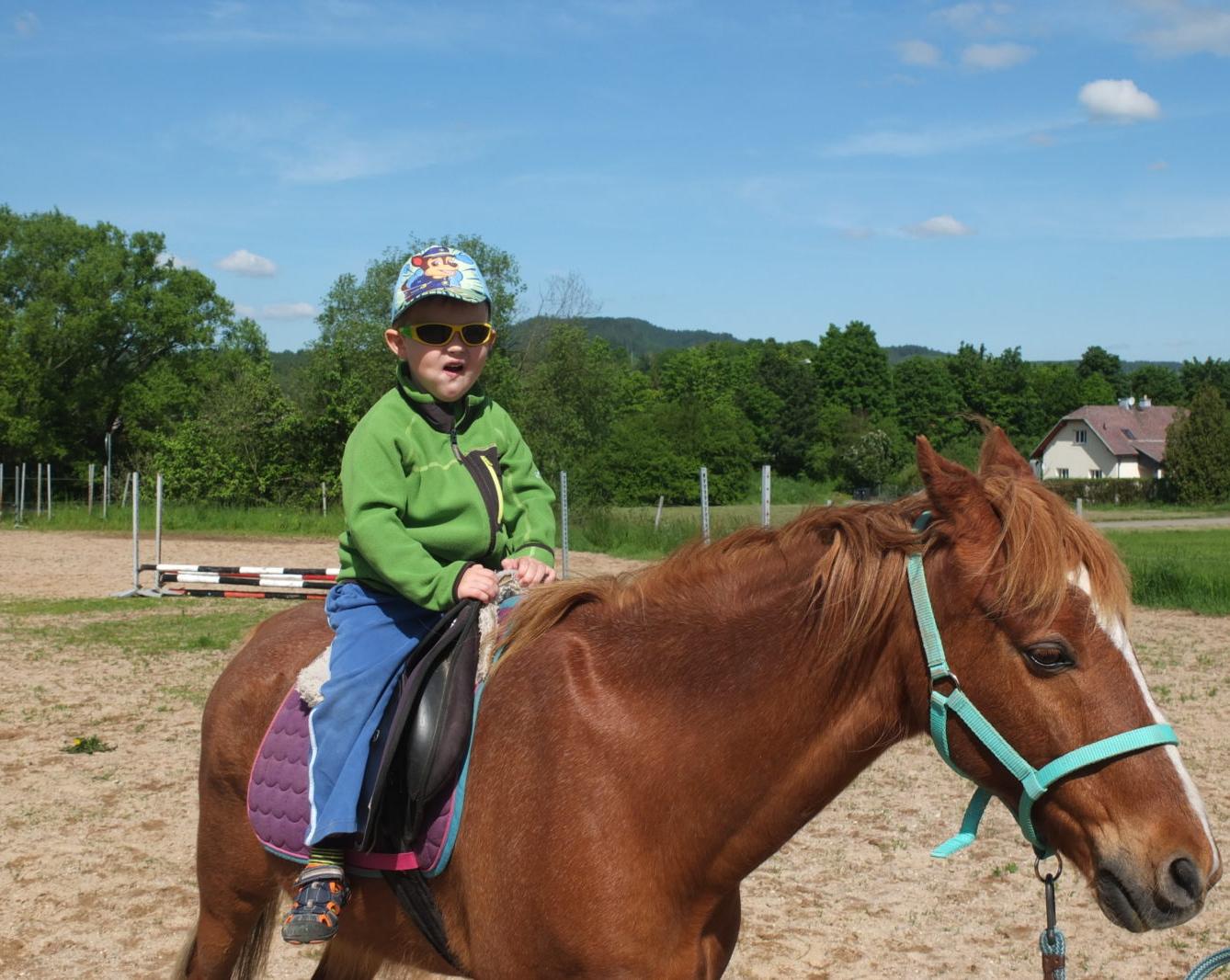 Na koních 2019 - 49