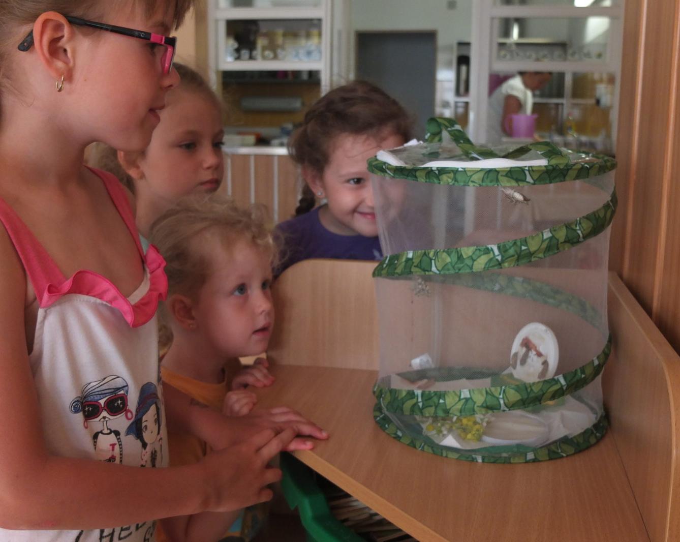 Kouzlo-přeměna housenek v kukly a vypouštění motýlků - 2