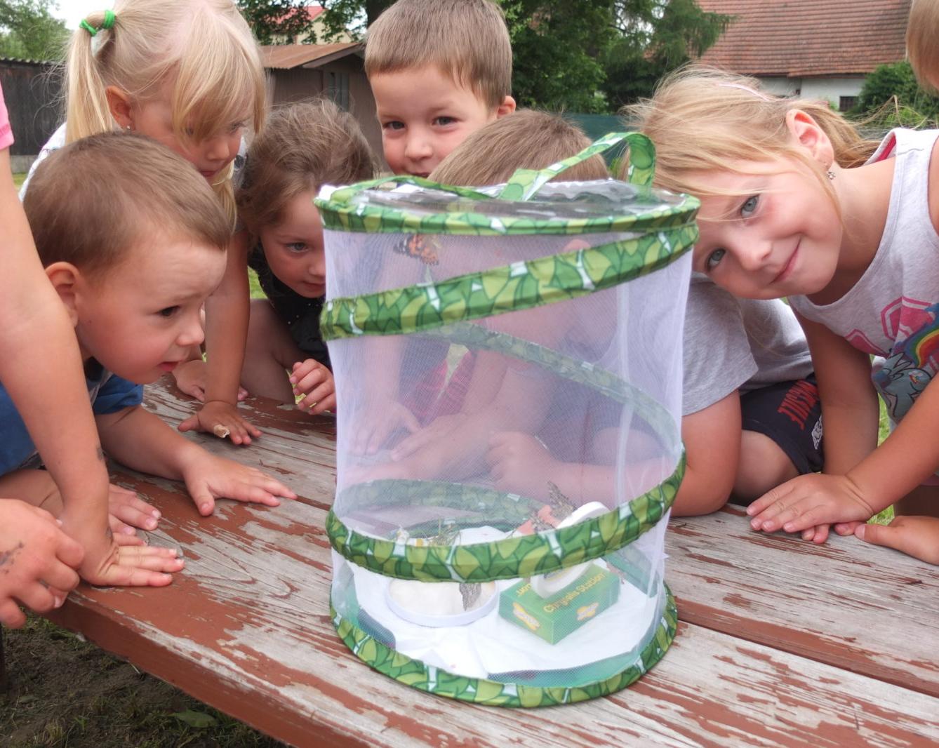 Kouzlo-přeměna housenek v kukly a vypouštění motýlků - 7