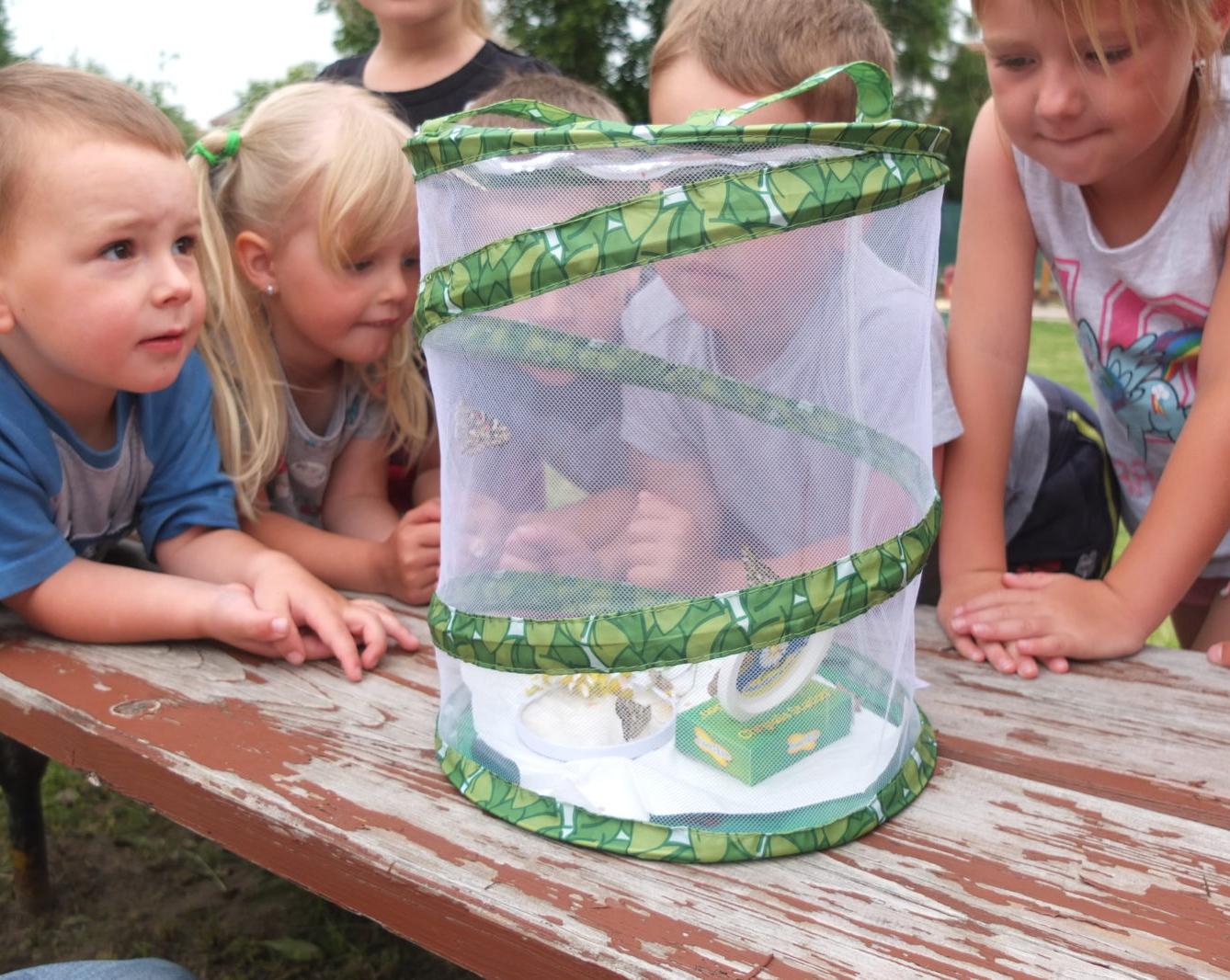 Kouzlo-přeměna housenek v kukly a vypouštění motýlků - 8