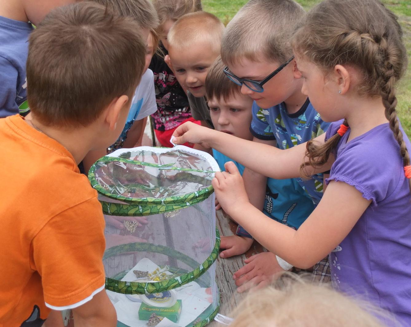 Kouzlo-přeměna housenek v kukly a vypouštění motýlků - 9