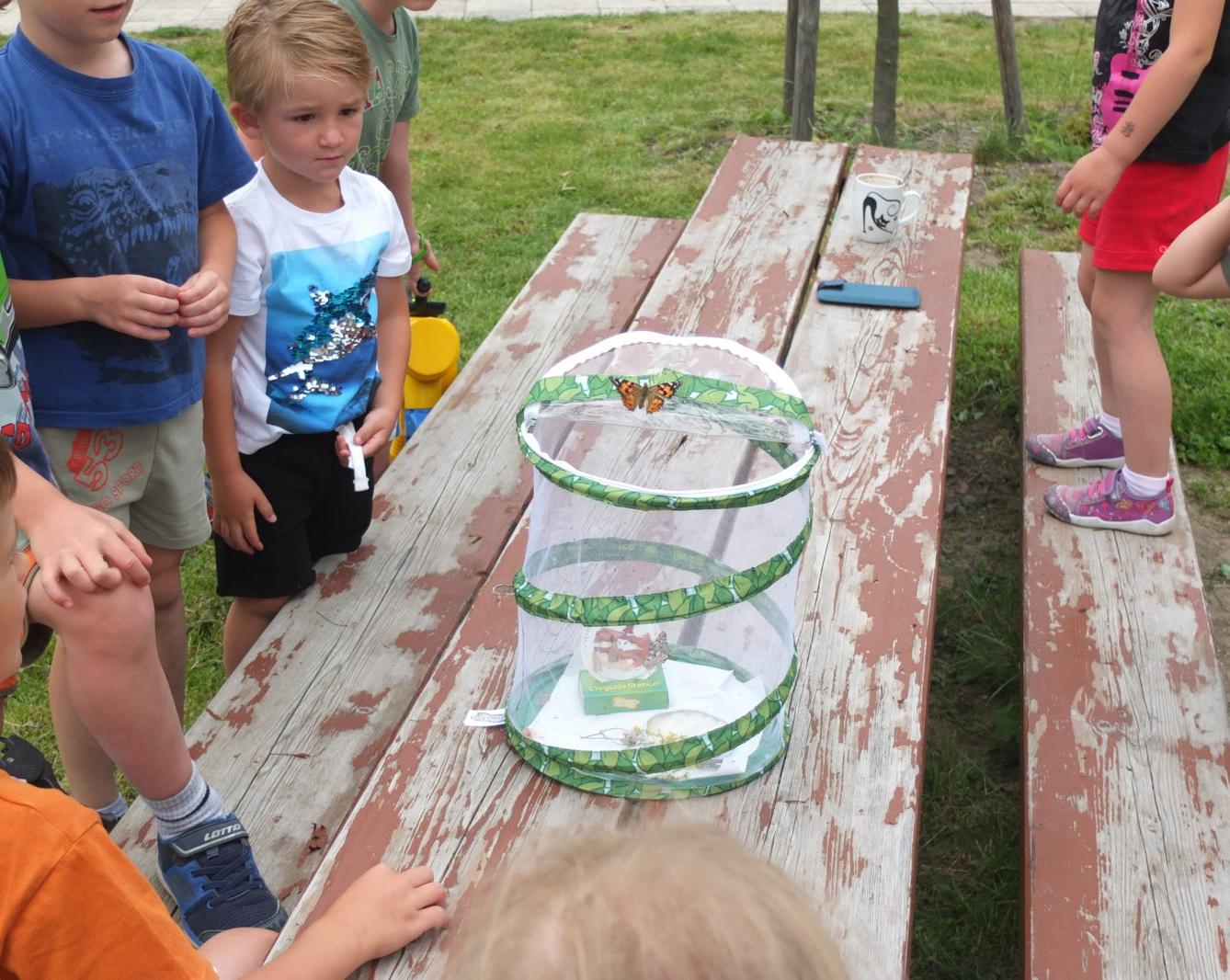 Kouzlo-přeměna housenek v kukly a vypouštění motýlků - 12