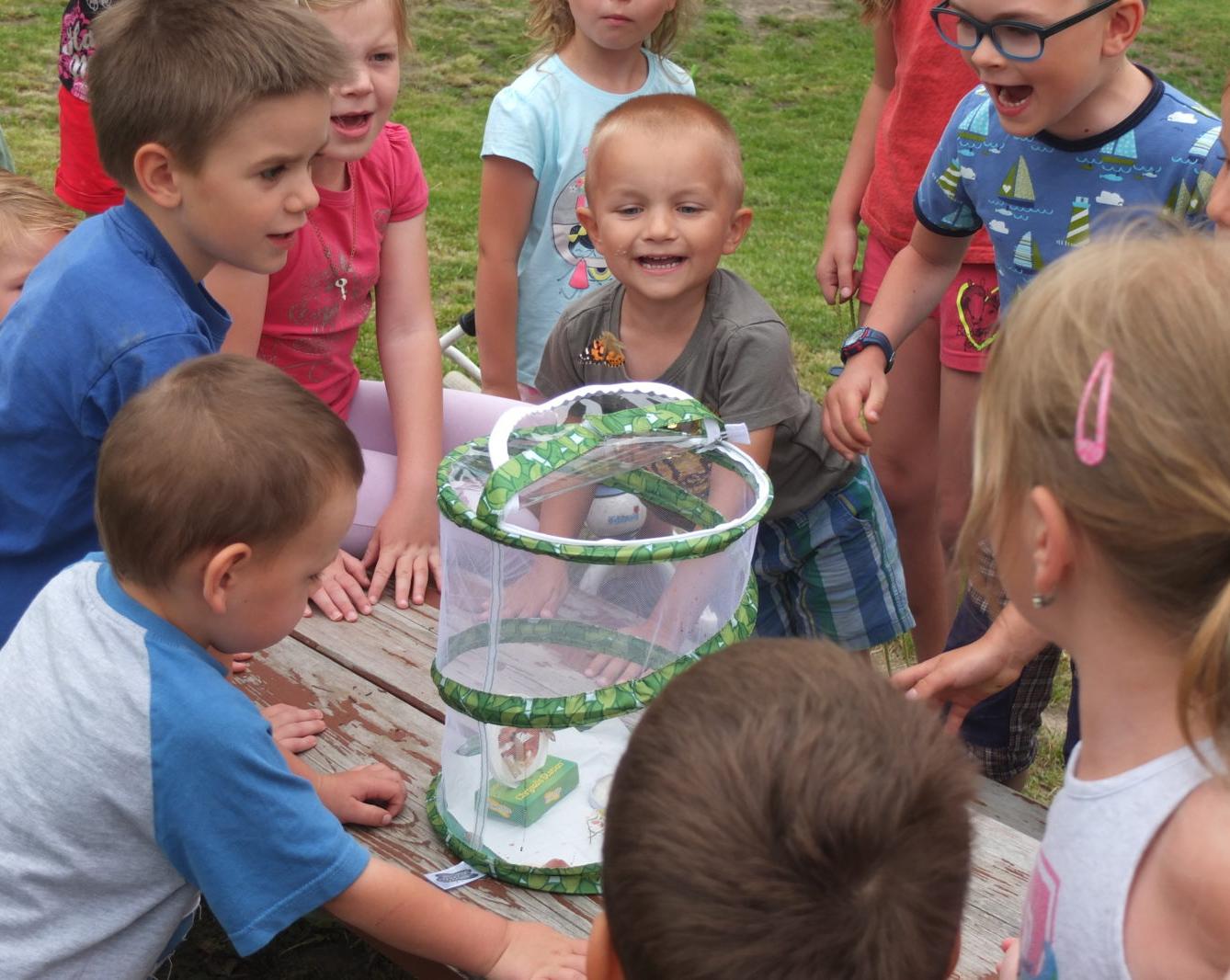 Kouzlo-přeměna housenek v kukly a vypouštění motýlků - 14