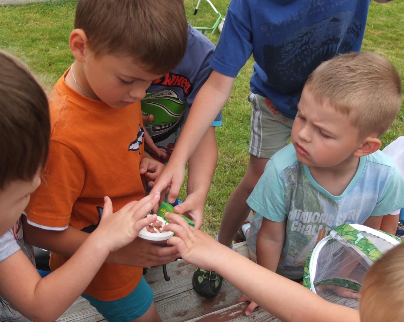 Kouzlo-přeměna housenek v kukly a vypouštění motýlků - 18