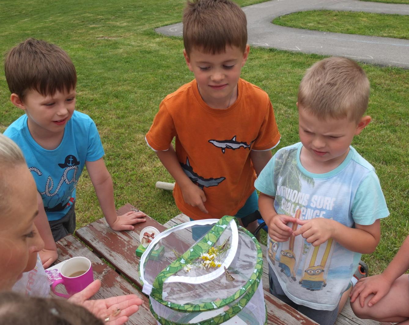 Kouzlo-přeměna housenek v kukly a vypouštění motýlků - 26