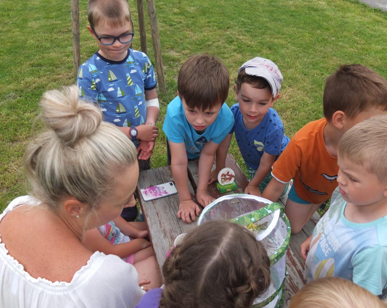 Kouzlo-přeměna housenek v kukly a vypouštění motýlků - 27