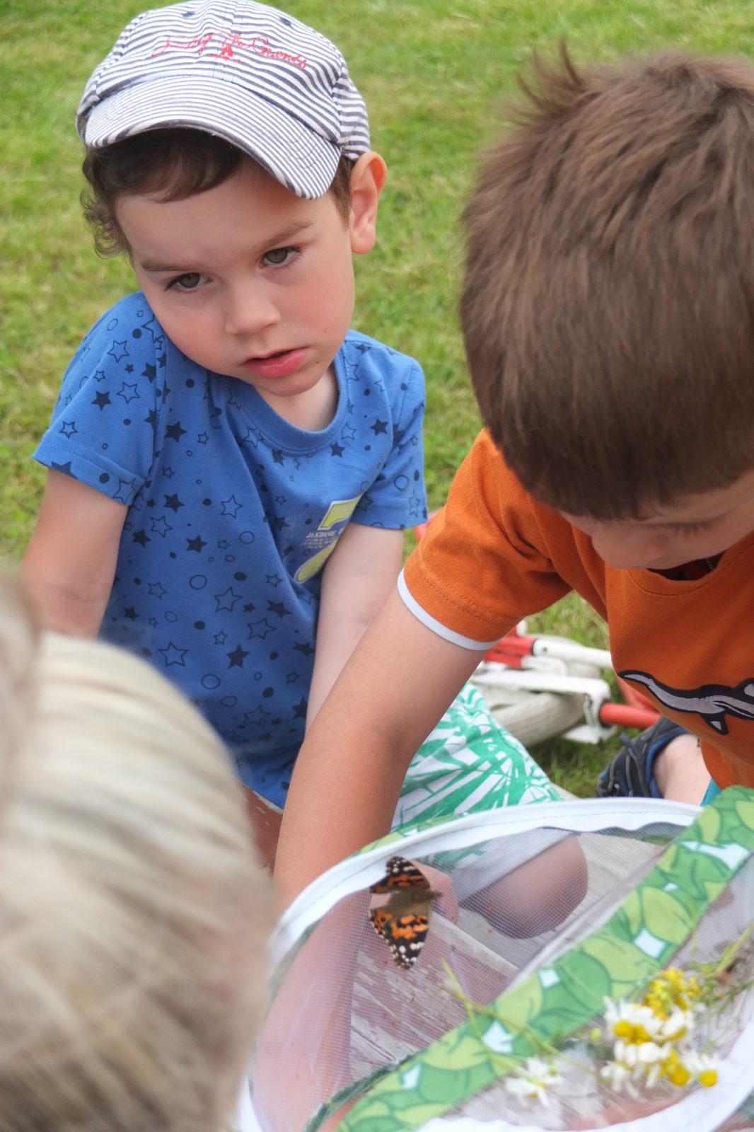 Kouzlo-přeměna housenek v kukly a vypouštění motýlků - 28