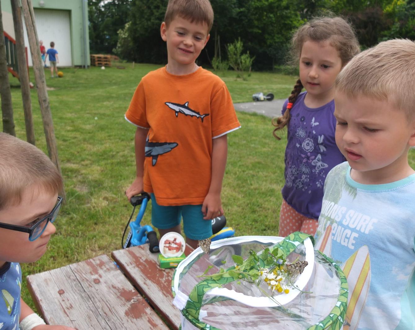 Kouzlo-přeměna housenek v kukly a vypouštění motýlků - 29