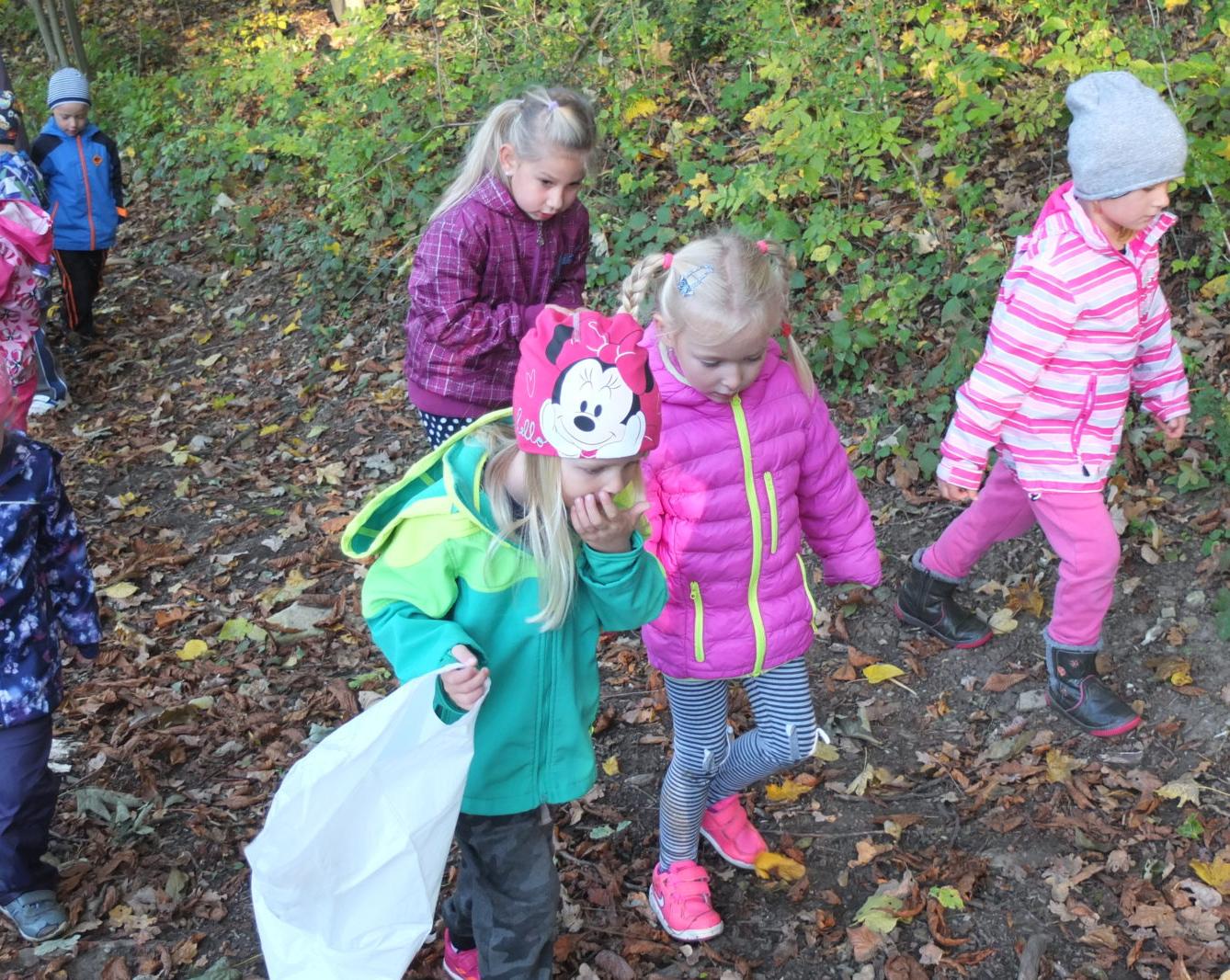 Návštěva kaštanky - 6