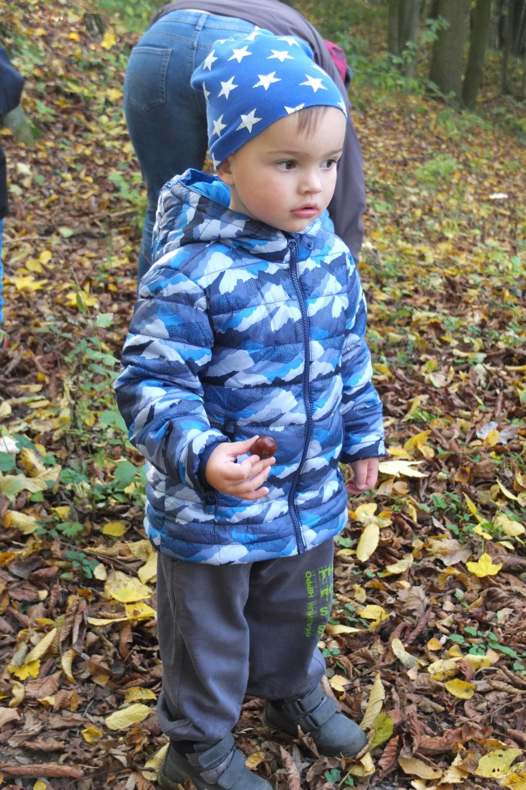 Návštěva kaštanky - 12