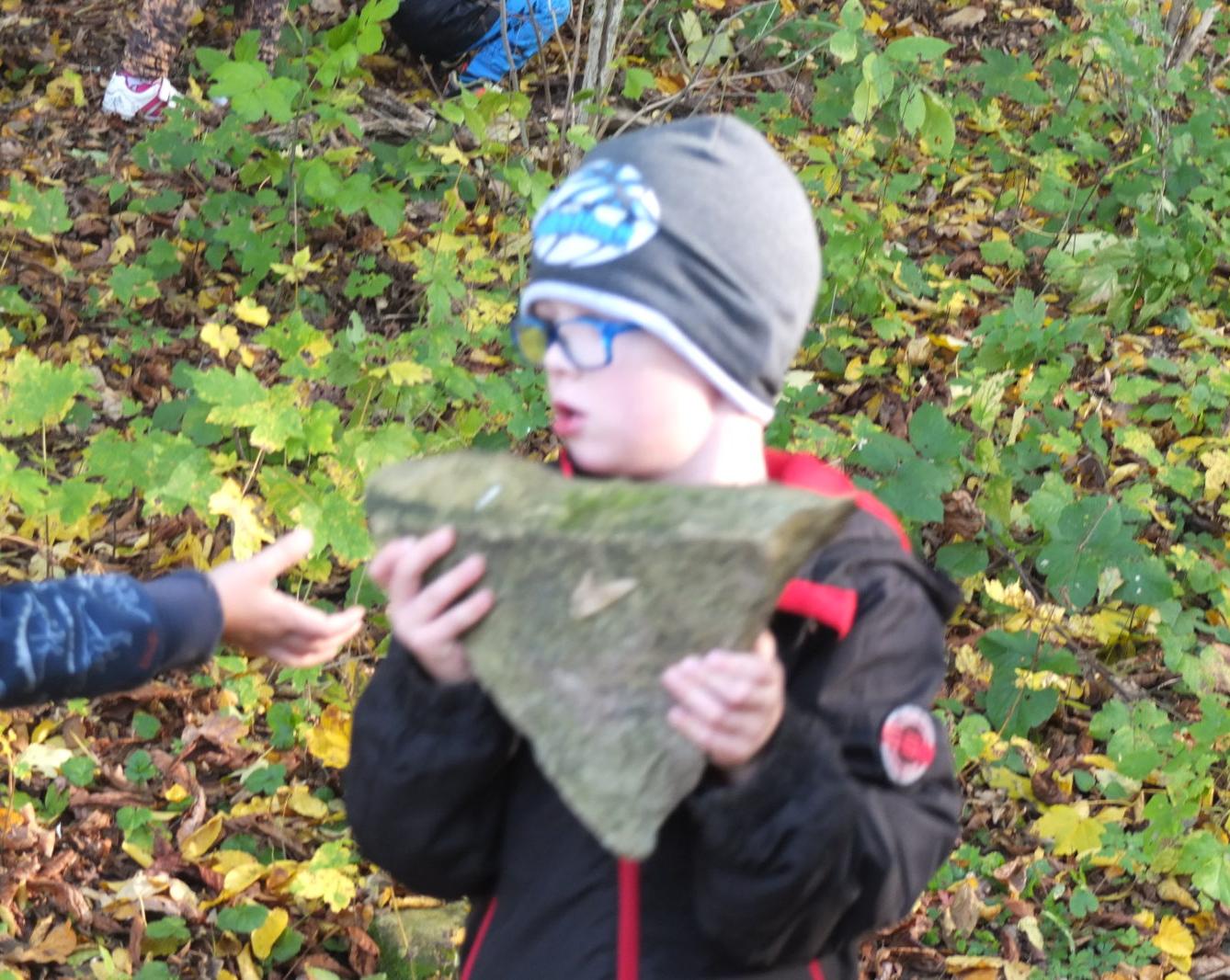 Návštěva kaštanky - 22