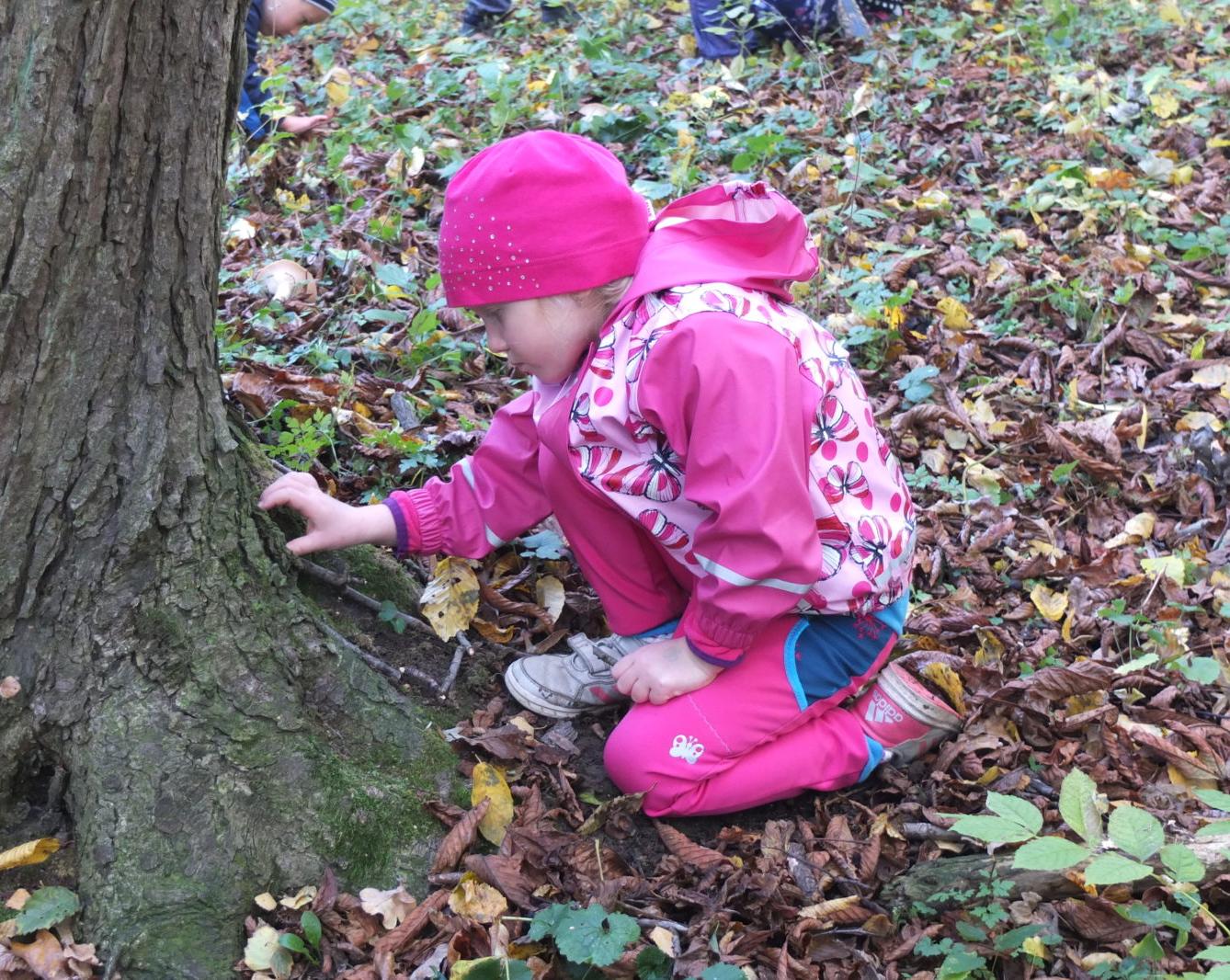 Návštěva kaštanky - 28