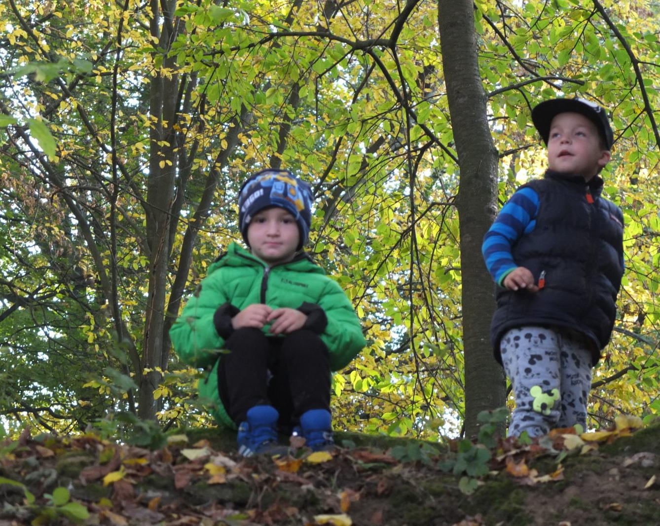 Návštěva kaštanky - 30