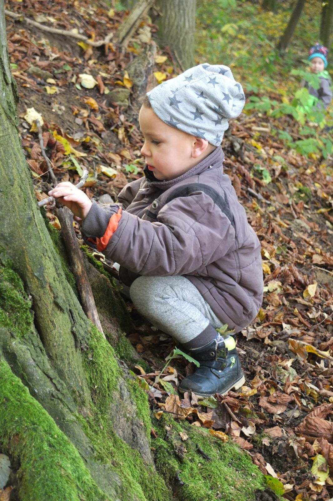 Návštěva kaštanky - 38