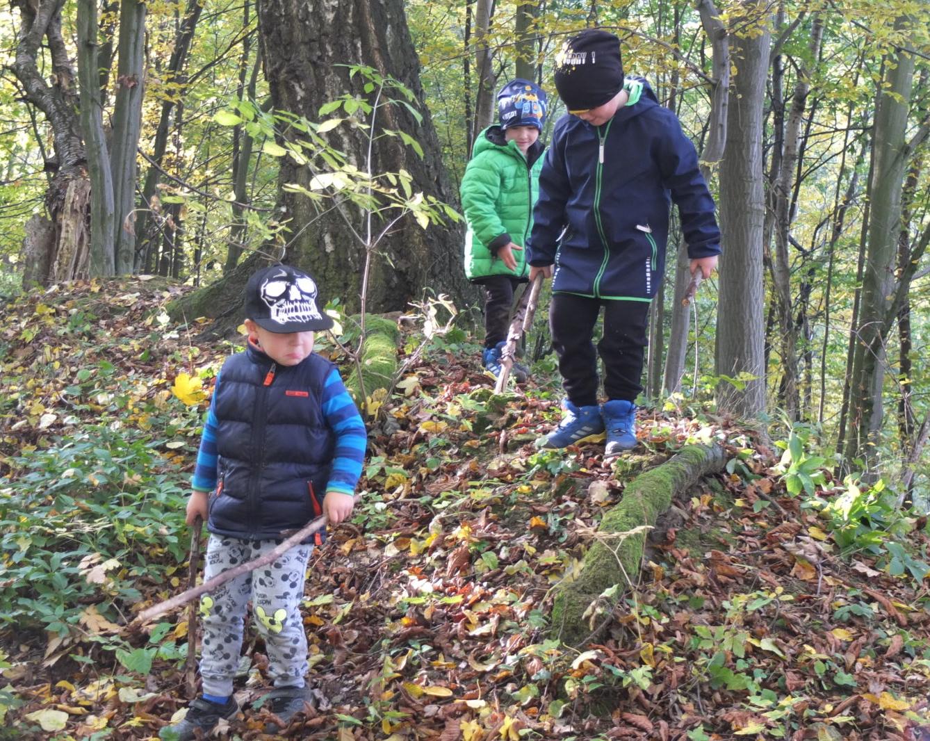 Návštěva kaštanky - 47