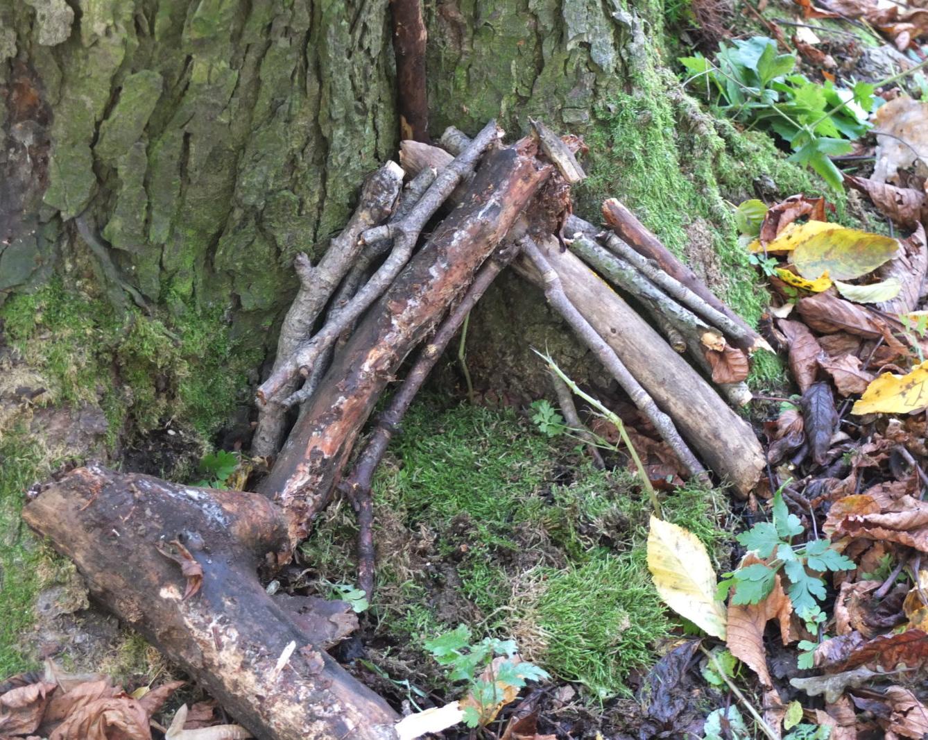 Návštěva kaštanky - 53