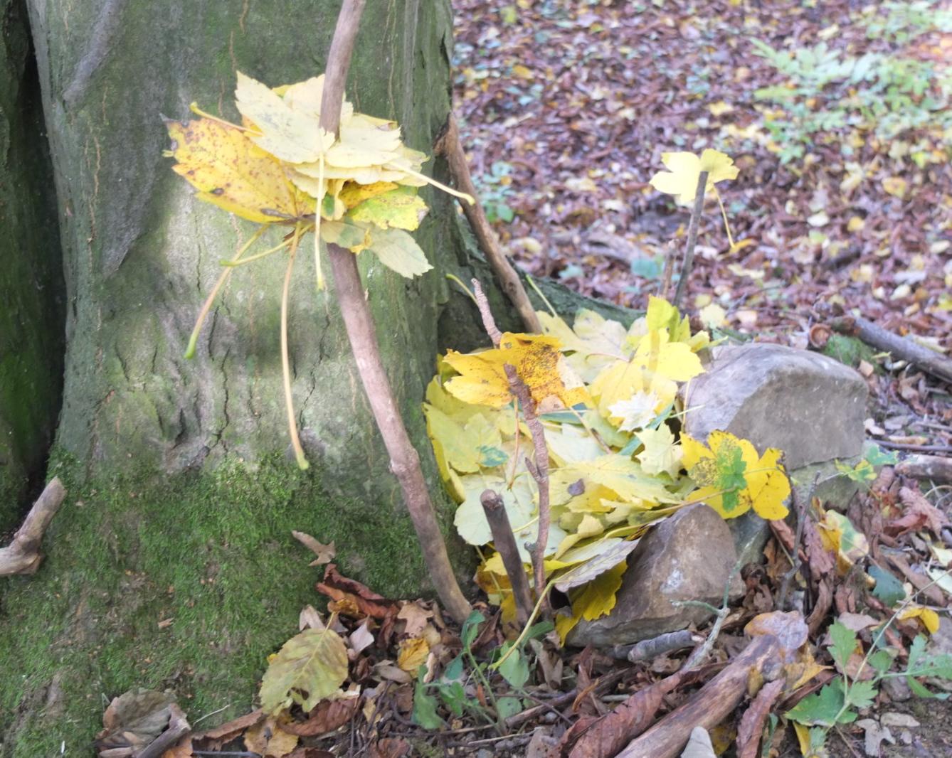 Návštěva kaštanky - 55