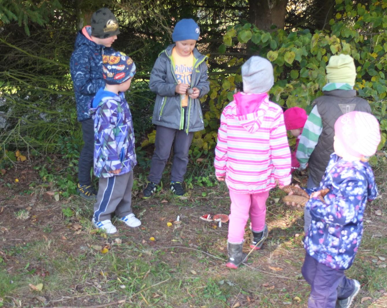 Návštěva kaštanky - 69