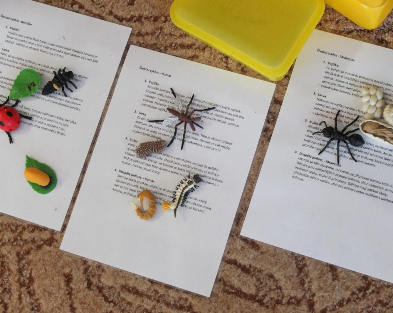 Program BROUČCI - 61