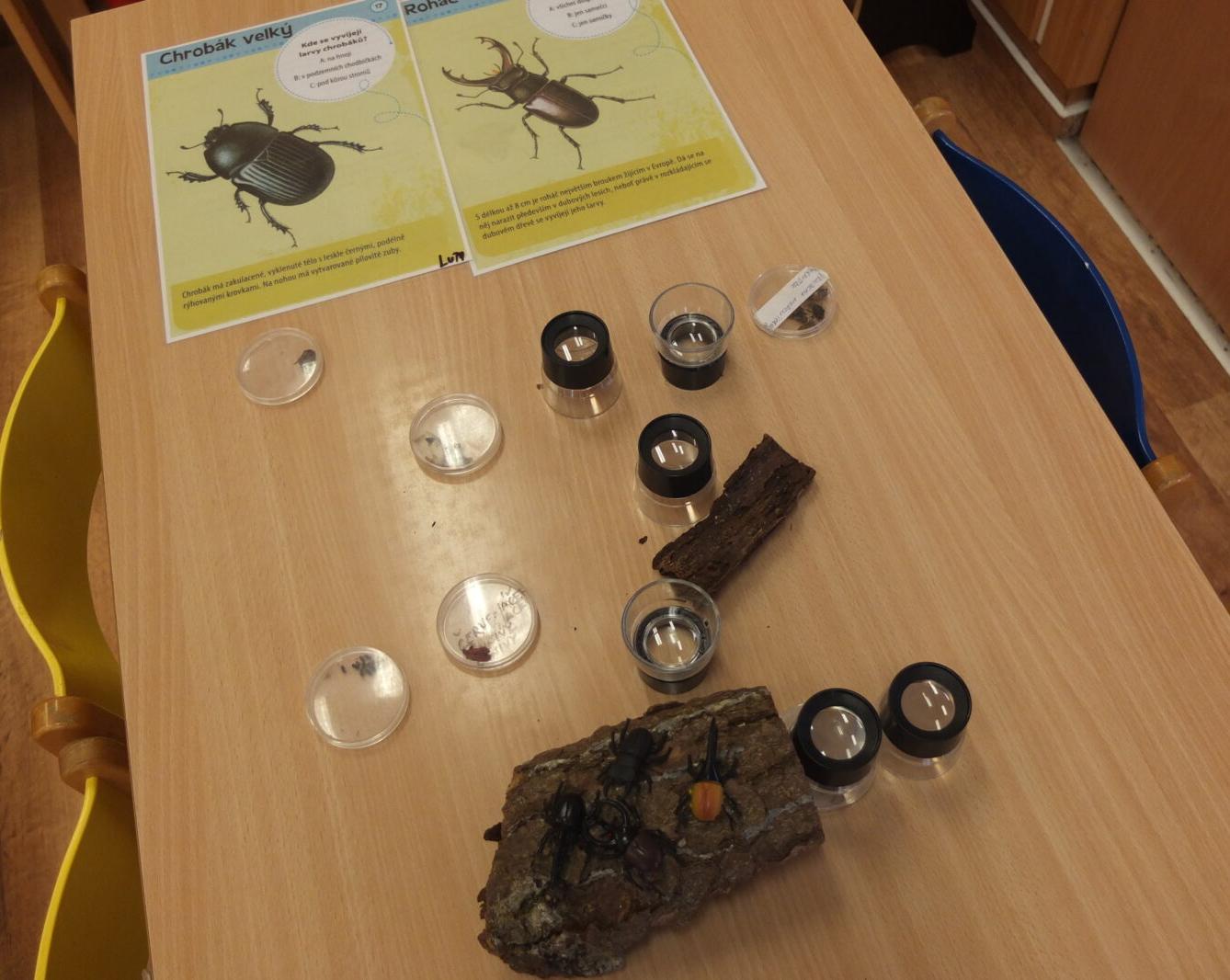 Program BROUČCI - 62