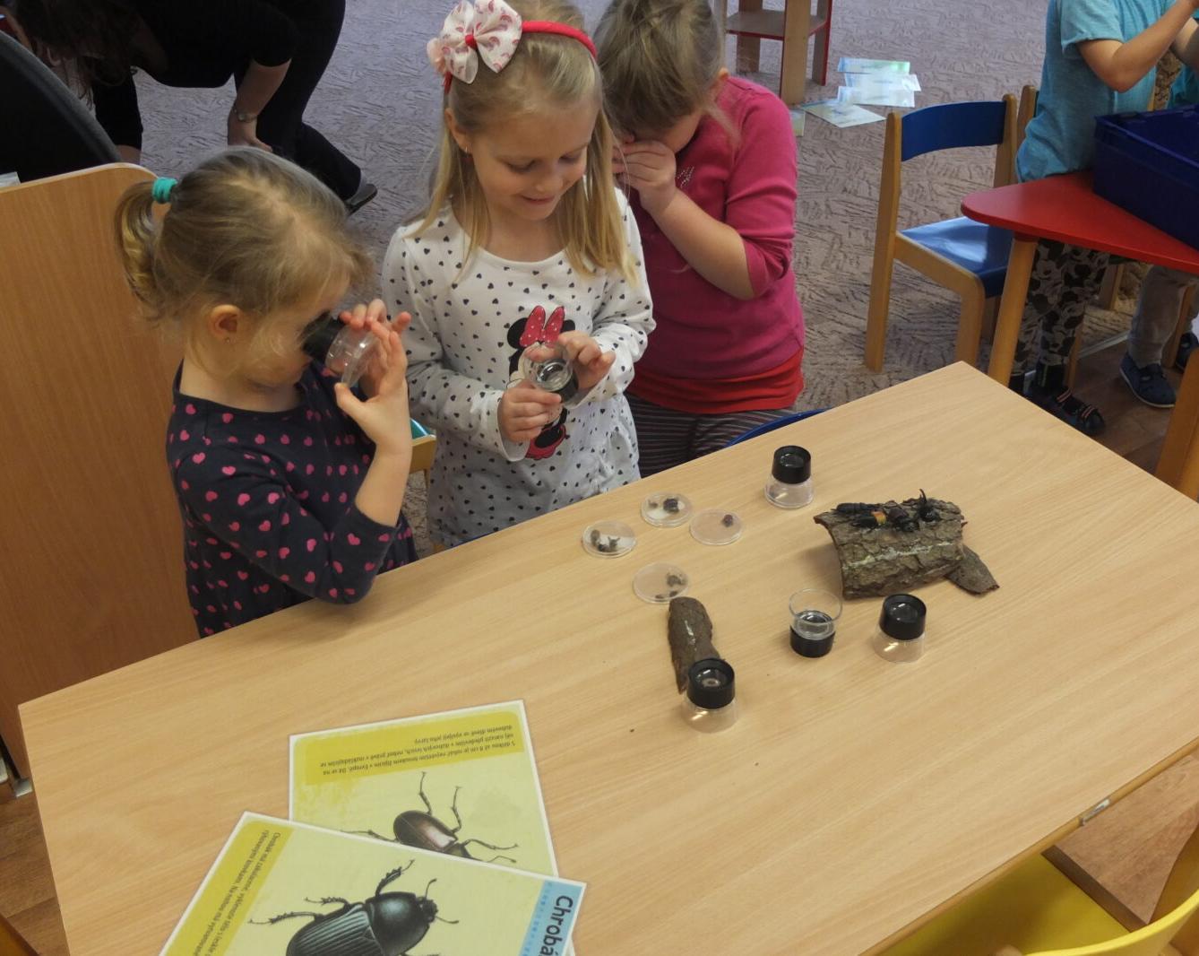 Program BROUČCI - 81