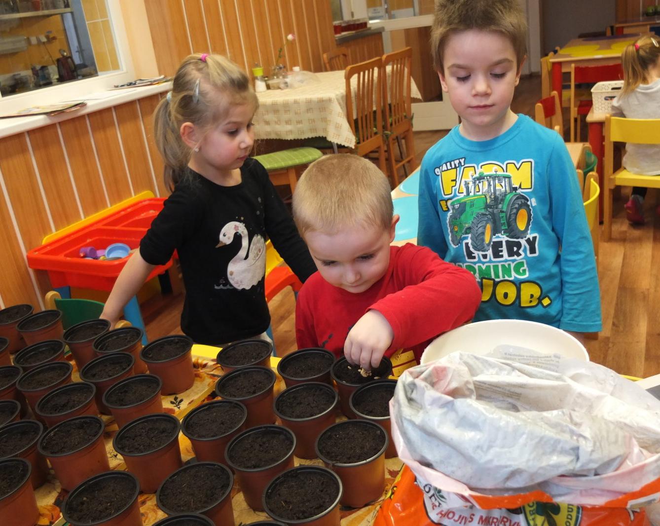 Jaro 2018, setí semínek a příprava na Velikonoce - 1