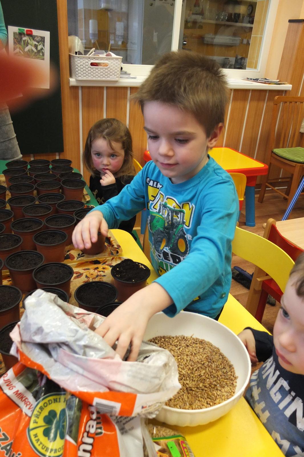 Jaro 2018, setí semínek a příprava na Velikonoce - 6