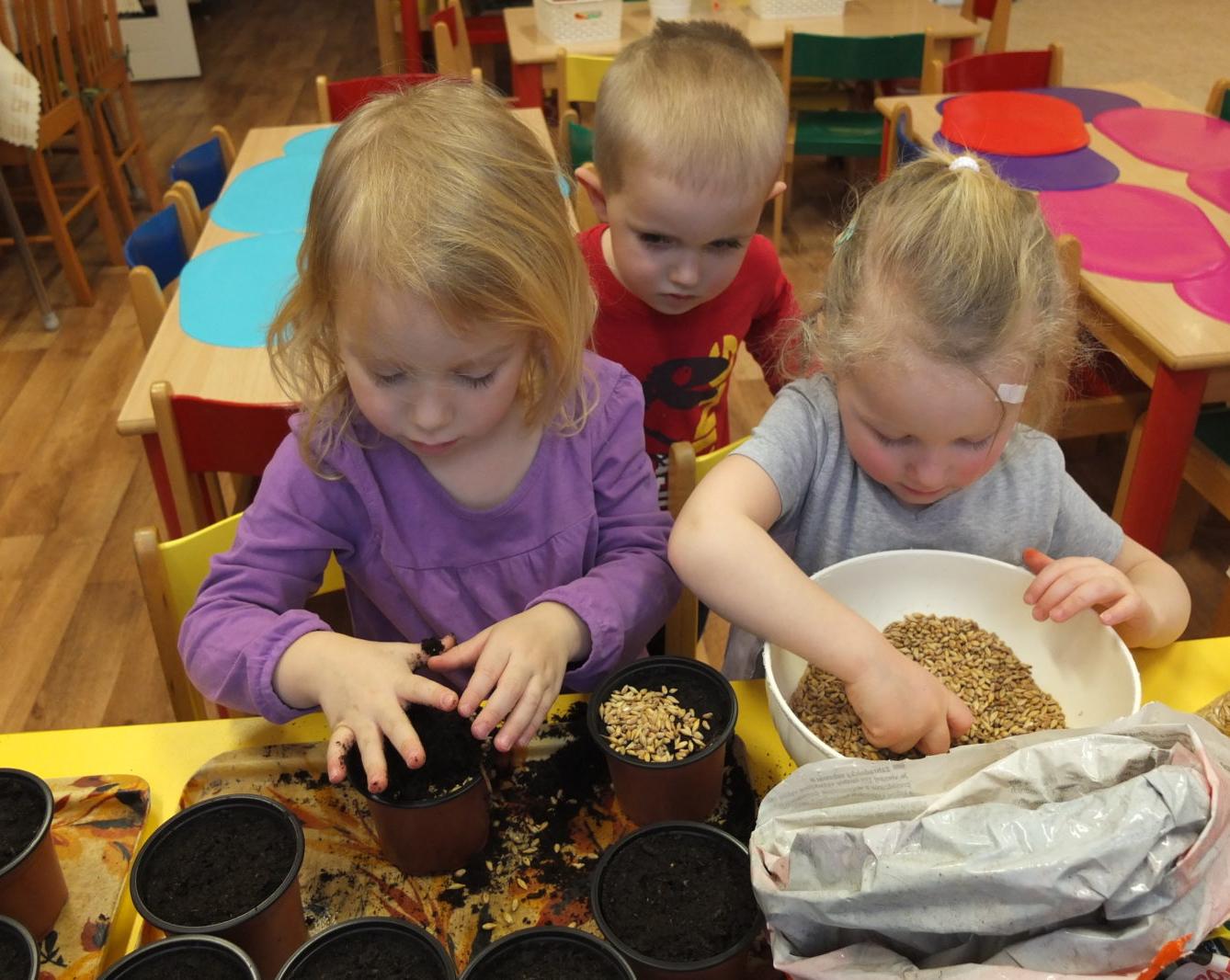 Jaro 2018, setí semínek a příprava na Velikonoce - 13