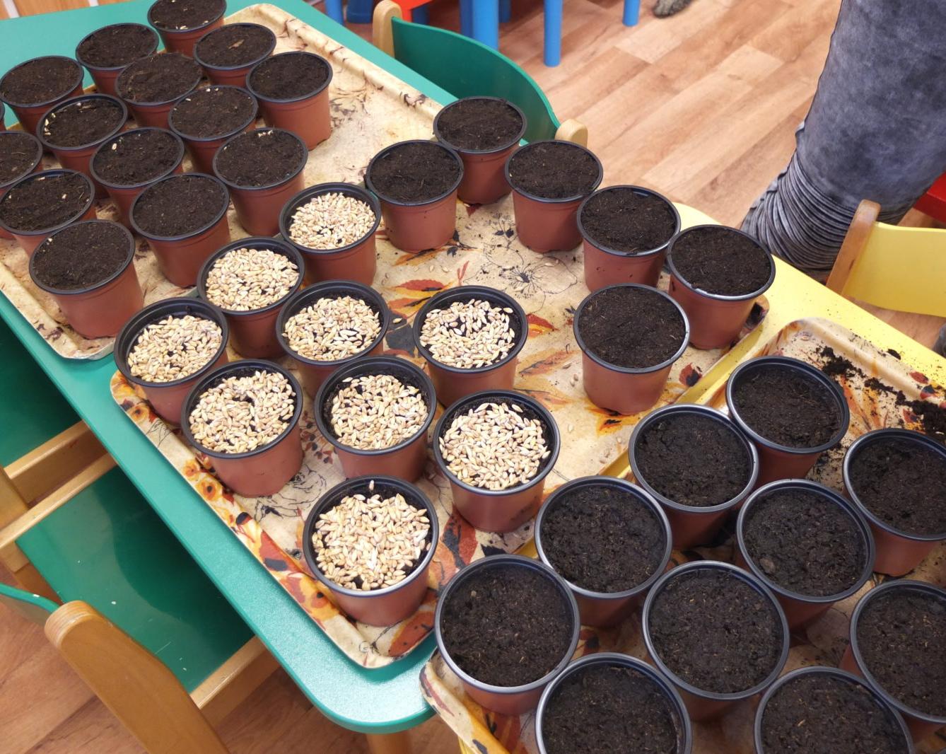 Jaro 2018, setí semínek a příprava na Velikonoce - 17