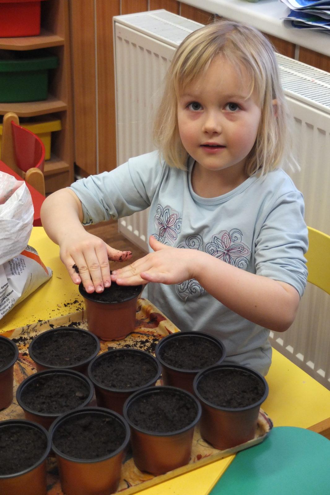 Jaro 2018, setí semínek a příprava na Velikonoce - 20