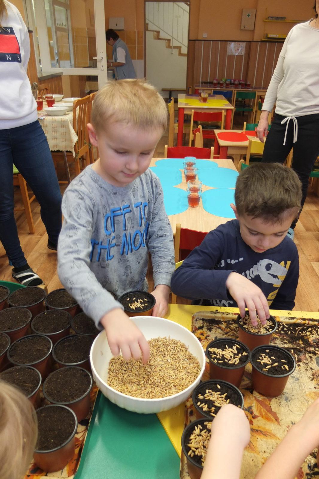 Jaro 2018, setí semínek a příprava na Velikonoce - 26