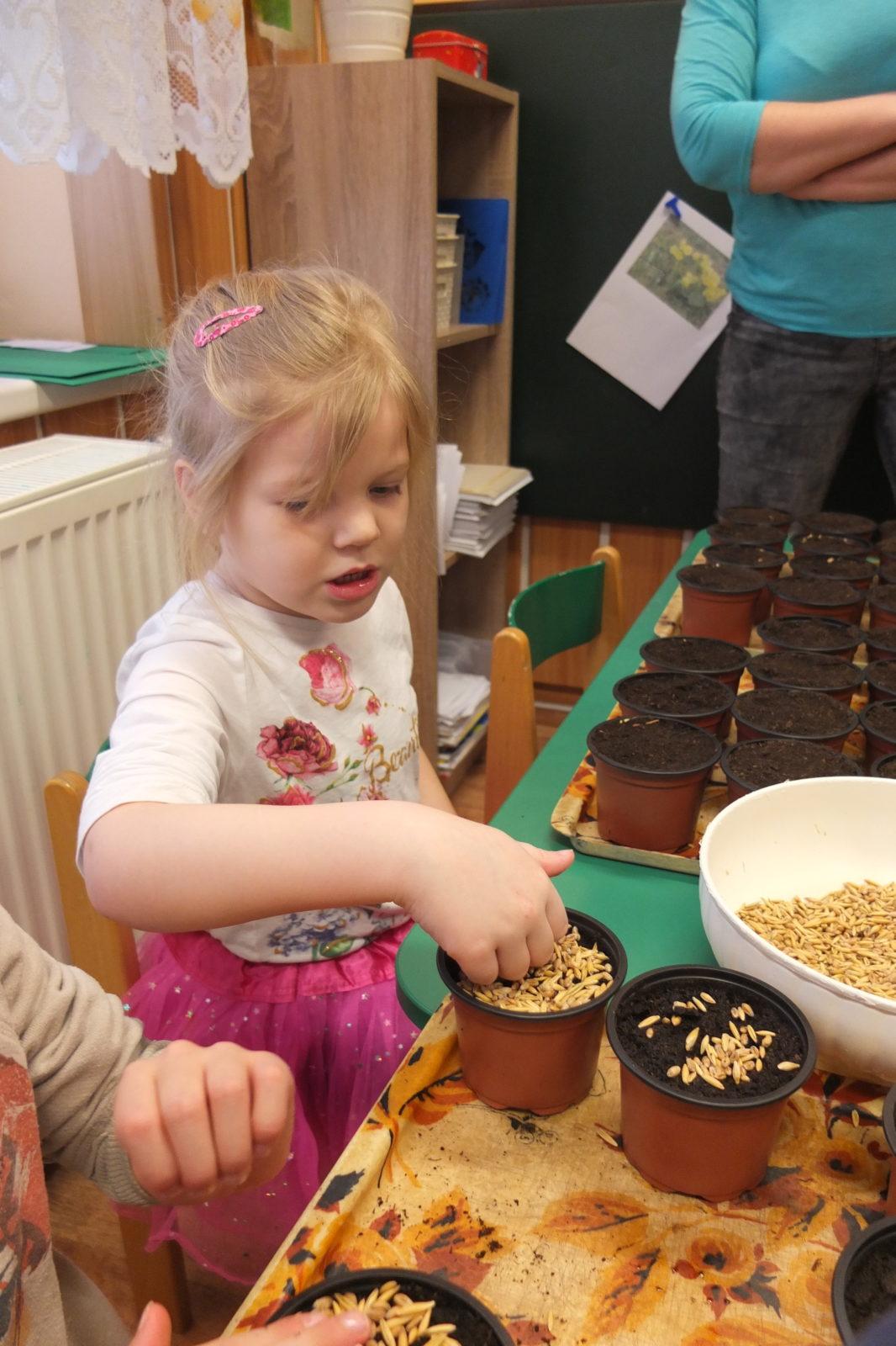 Jaro 2018, setí semínek a příprava na Velikonoce - 28