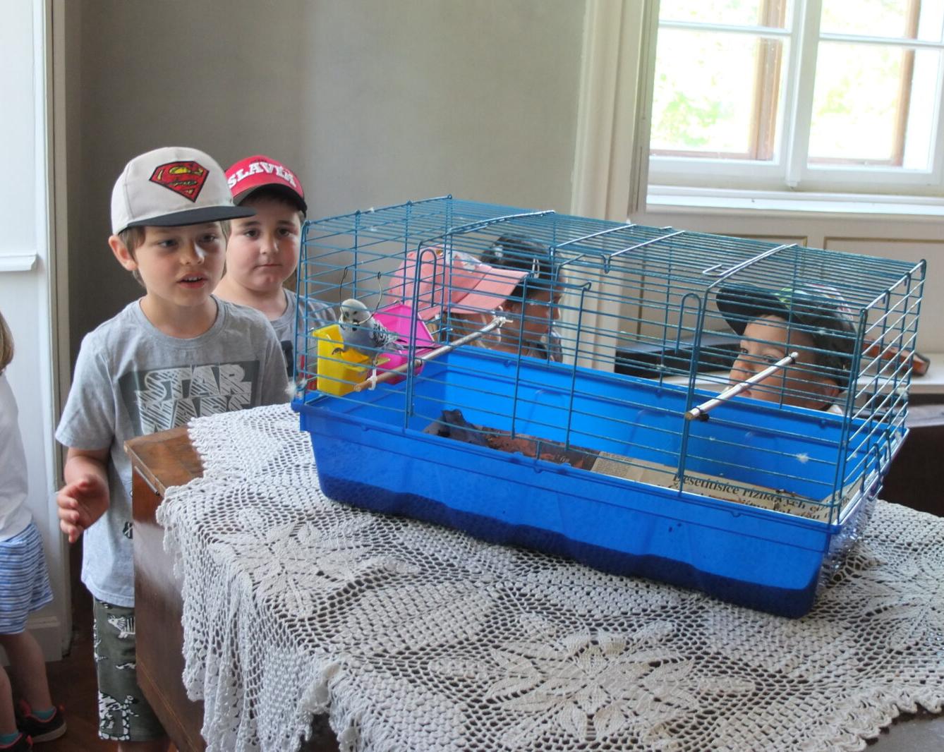 Výlet - Potštejn - 39