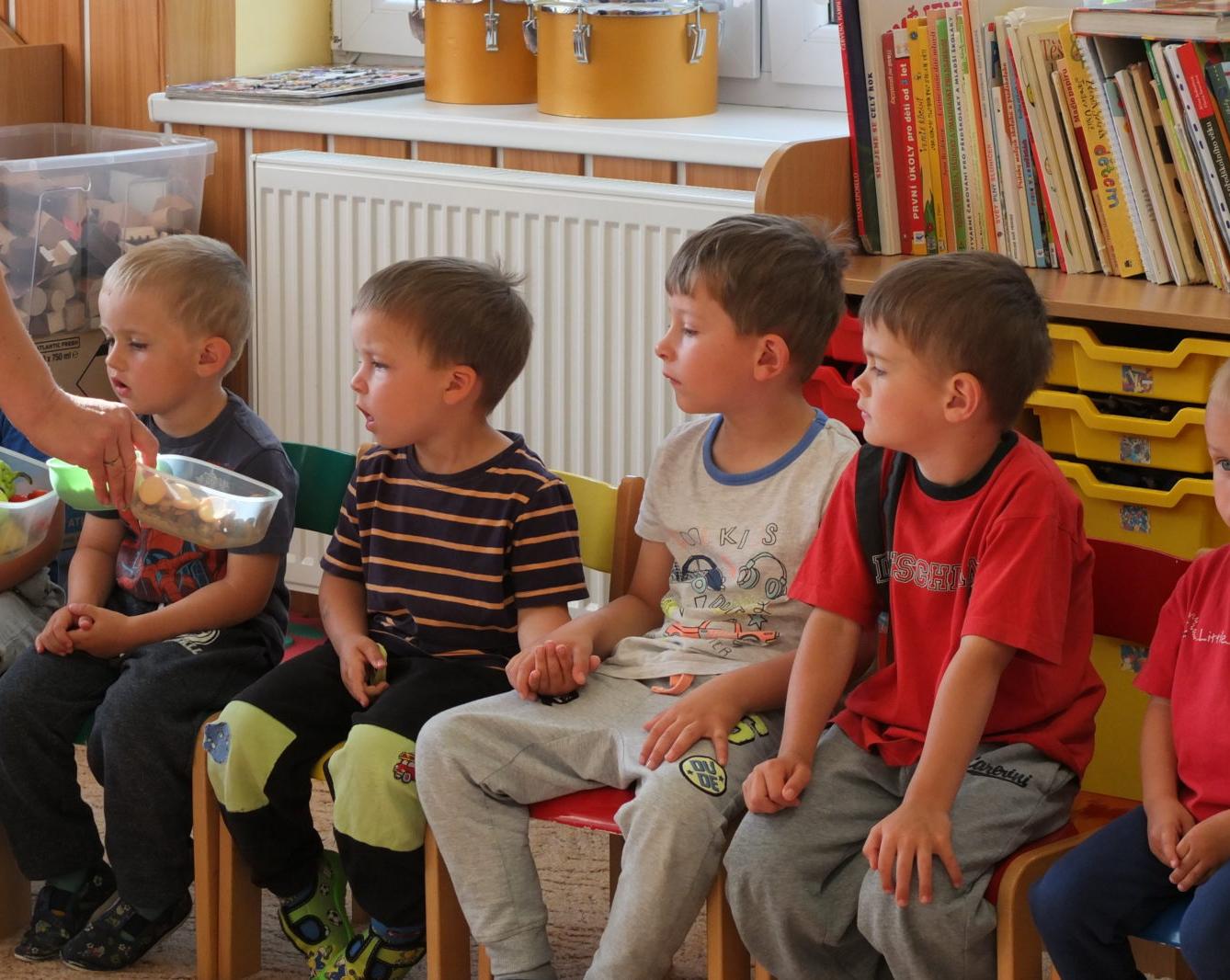 Papoušci aneb létající barevné poklady - 3