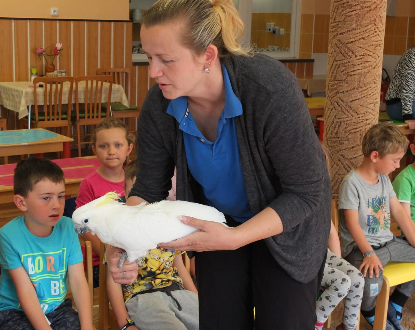 Papoušci aneb létající barevné poklady - 8