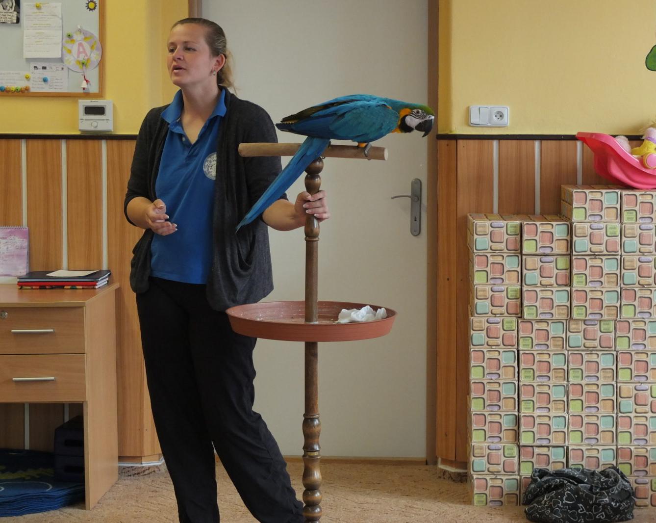 Papoušci aneb létající barevné poklady - 21