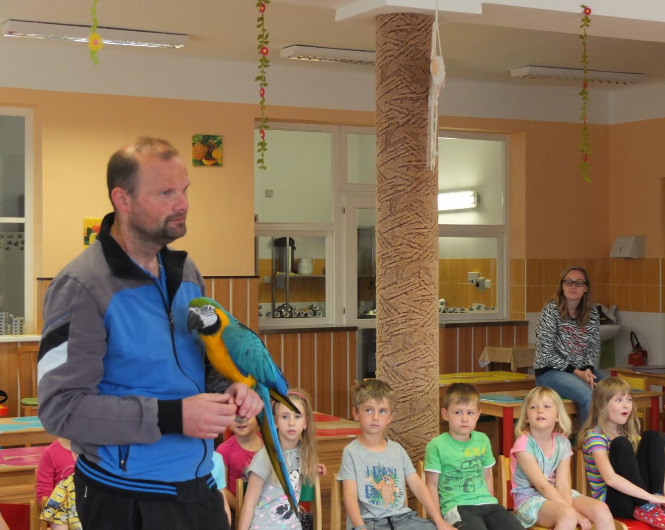 Papoušci aneb létající barevné poklady - 22