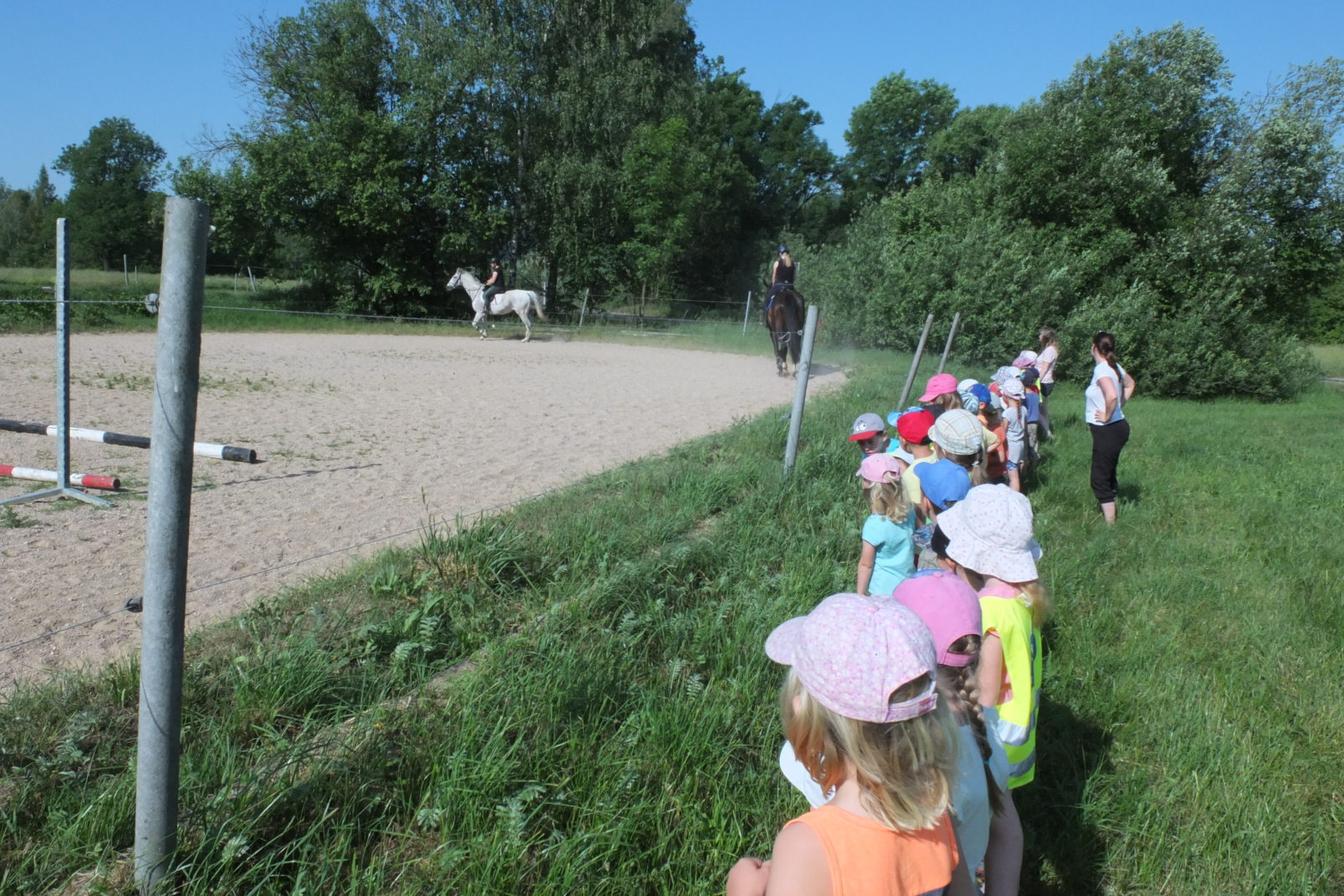 Návštěva u Vincenzů