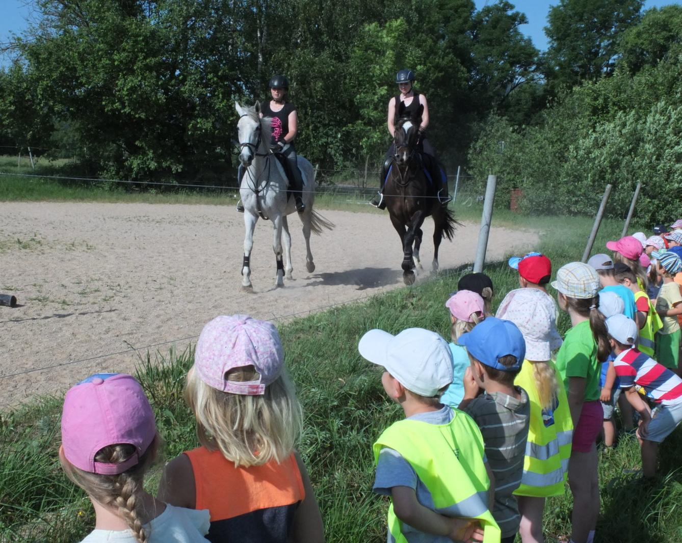 Návštěva u Vincenzů - 2