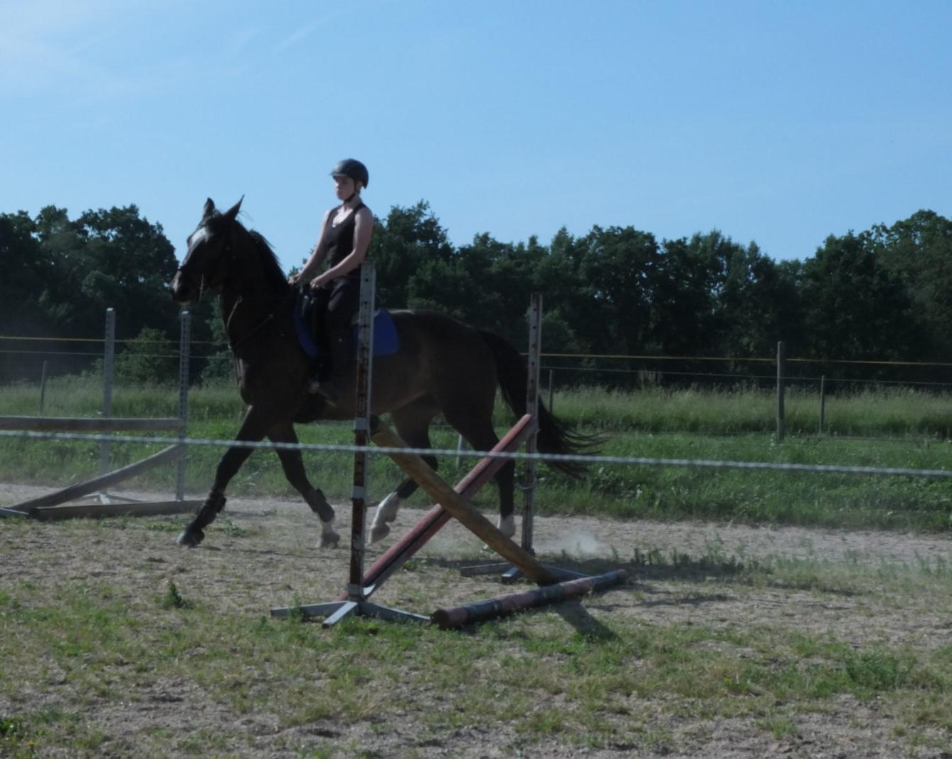 Návštěva u Vincenzů - 5